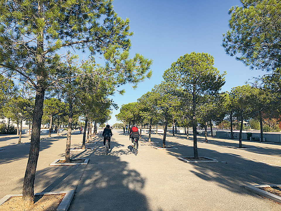 Αρωμα θάλασσας με αφετηρία τη Νέα Σμύρνη-4