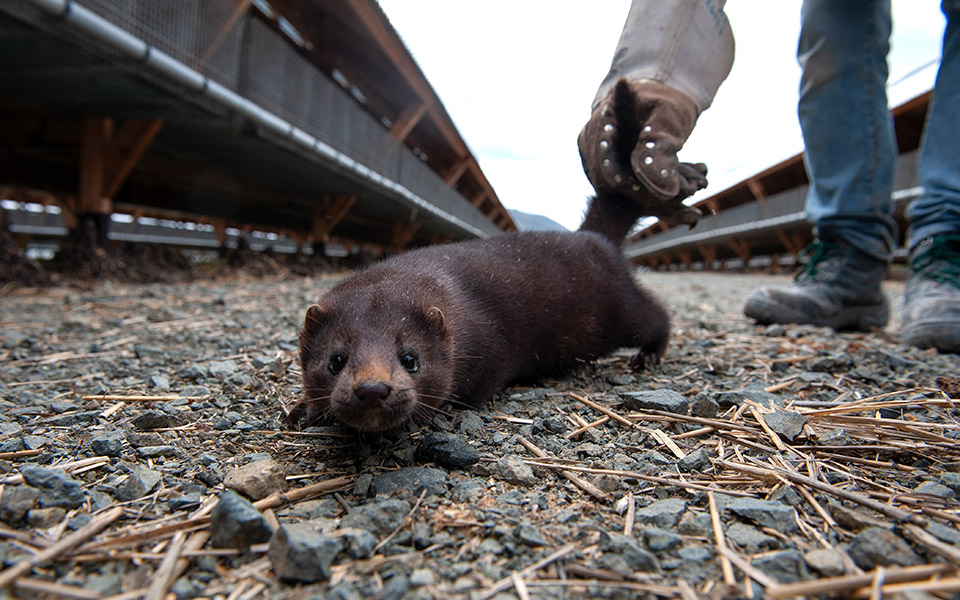 αυτή-την-κυριακή-στο-περιοδικό-κ-ρεπ-561176170