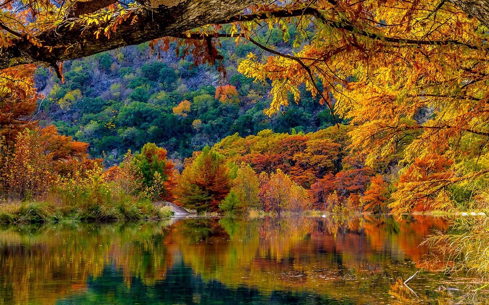 ηπα-εν-μέσω-πόλωσης-το-ζωηρό-φθινοπωρι-561143854