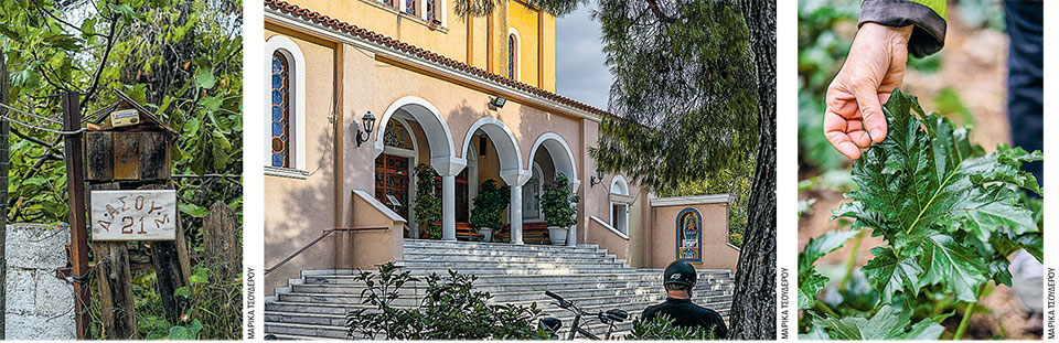 Ανάσες στη Ρεματιά Χαλανδρίου-4