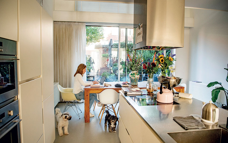 o-ηomo-domesticus-είναι-εδώ-αλλά-αυτό-είναι-καλό-561159868