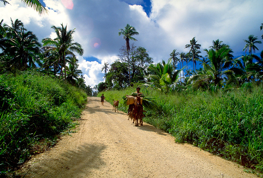 Εξωτισμός Covid-Free-2