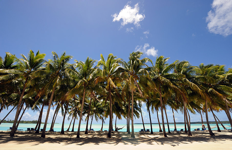 Εξωτισμός Covid-Free-3