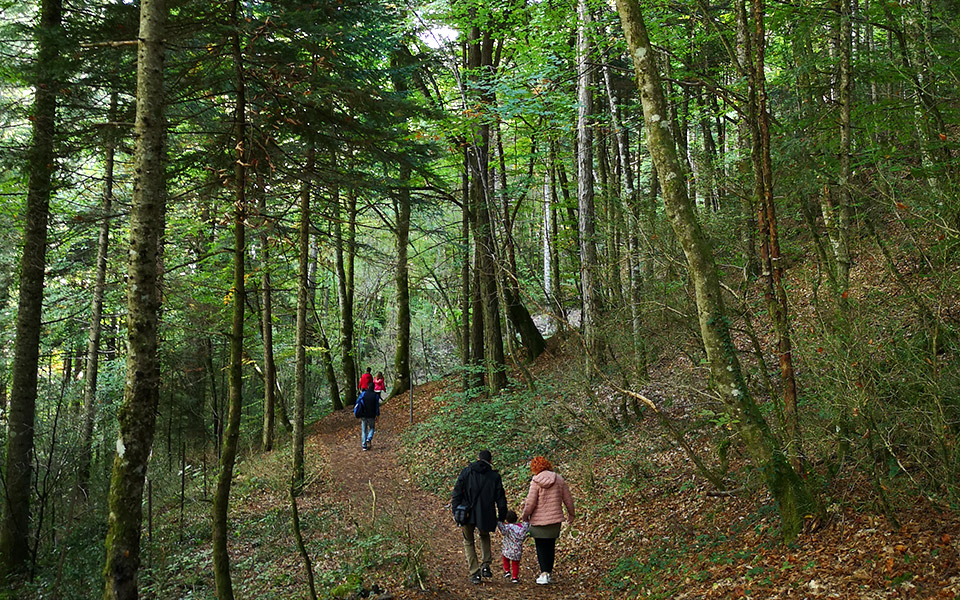 οι-αναγνώστες-ταξιδεύουν-μοναστήρι-α-561171538