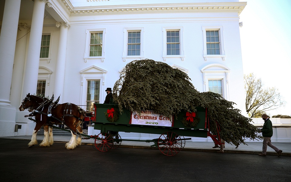 Η Μελάνια Τραμπ υποδέχθηκε το προεδρικό έλατο (εικόνες)-3