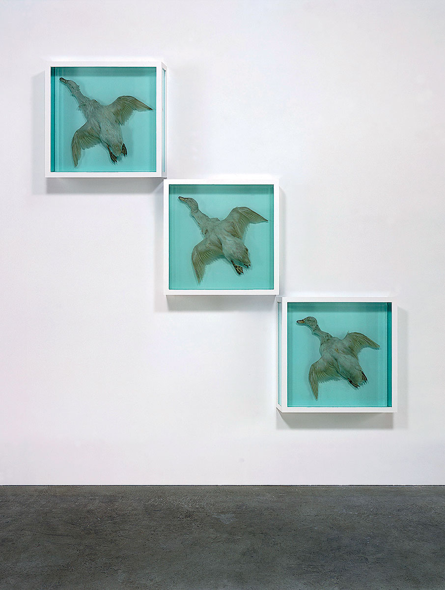 Ο Ντάμιεν Χερστ και η καταδίκη της κανονικότητας-1