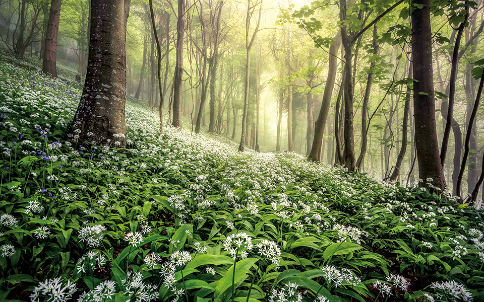 υπερθέαμα-εικόνων-561153220