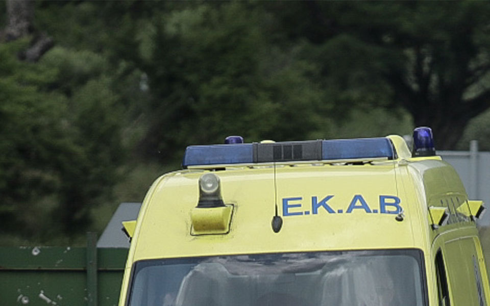 πήλιο-πέρασε-τον-φίλο-του-για-αγριογού-561165235