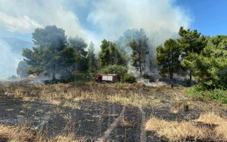 σε-εξέλιξη-πυρκαγιά-σε-δασική-έκταση-σ-561145054