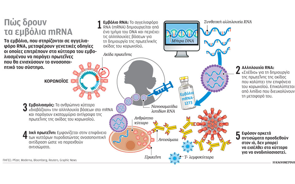 στον-πυρετό-των-εμβολίων-561162370