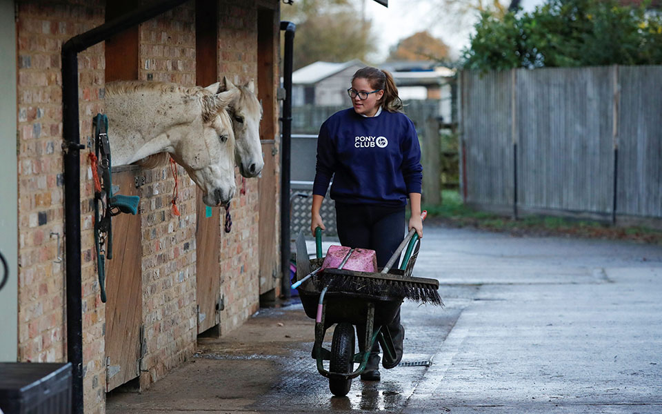 θεσπίζεται-διαβατήριο-για-τα-ιπποειδ-561175366