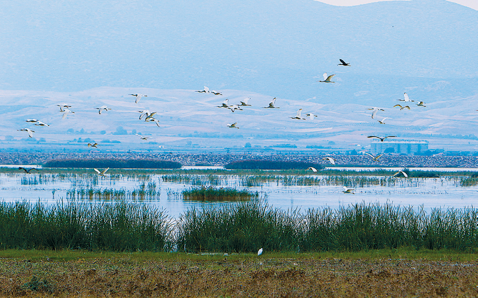 αδειοδότηση-με-τροπολογίες-561150445