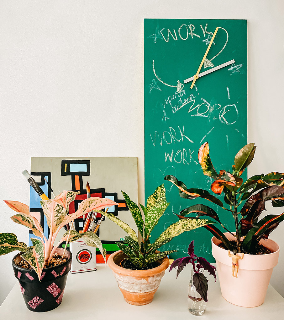 Τι φυτά να βάλετε σε σκοτεινό μπάνιο;-2