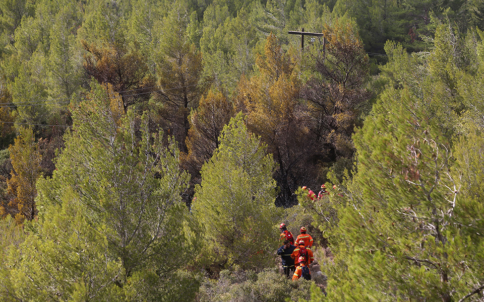 πυρκαγιά-σε-δασική-έκταση-στην-κάρυστ-561144190