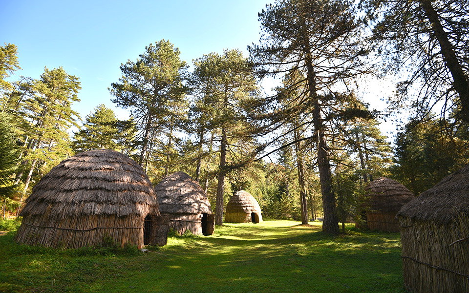 εξακόσια-δάση-στα-αυτιά-σας-561161884