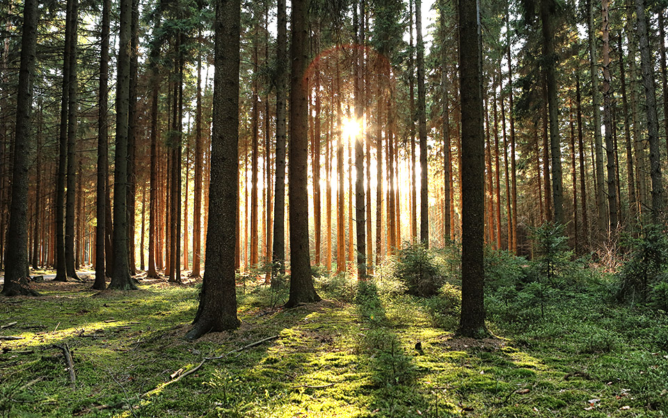 ταξίδι-με-άλλα-μέσα-561156349