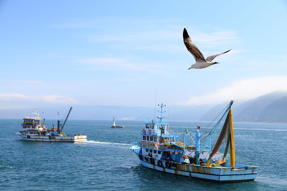 Ωμές παραβιάσεις και σε ψαρότοπους-1