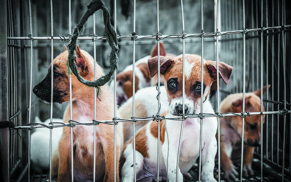 δείκτης-πολιτισμού-η-συμπεριφορά-απέ-561157243