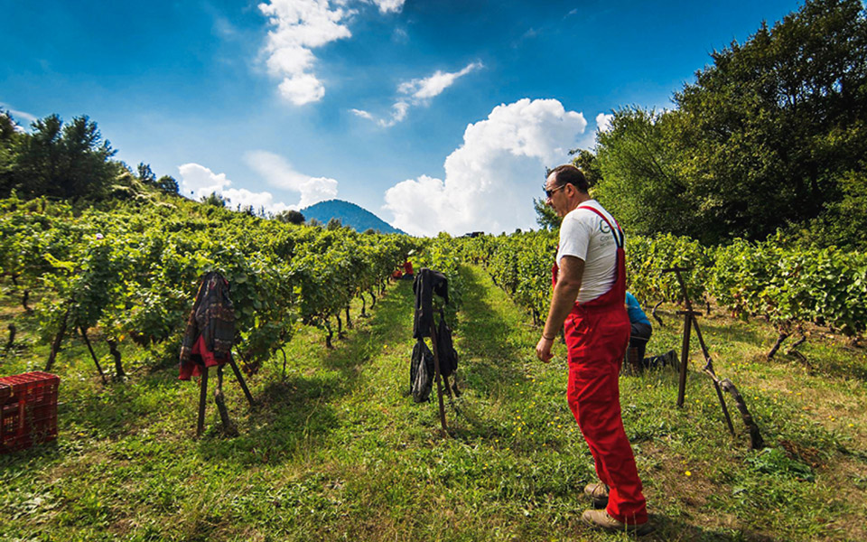 αυτή-την-κυριακή-με-την-κ-να-τα-πιούμ-561182239