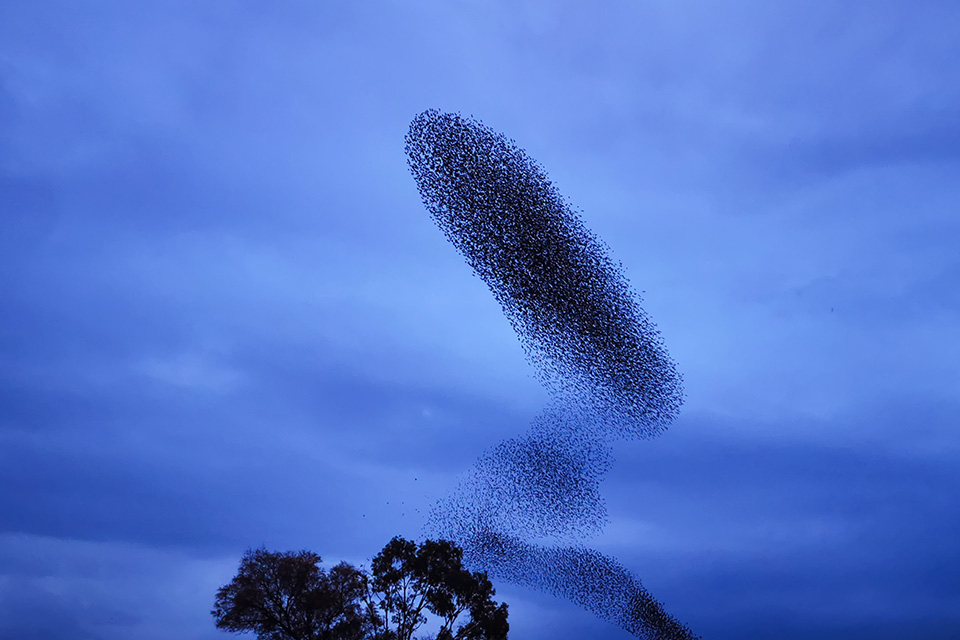κοιτώντας-ψηλά-561183244