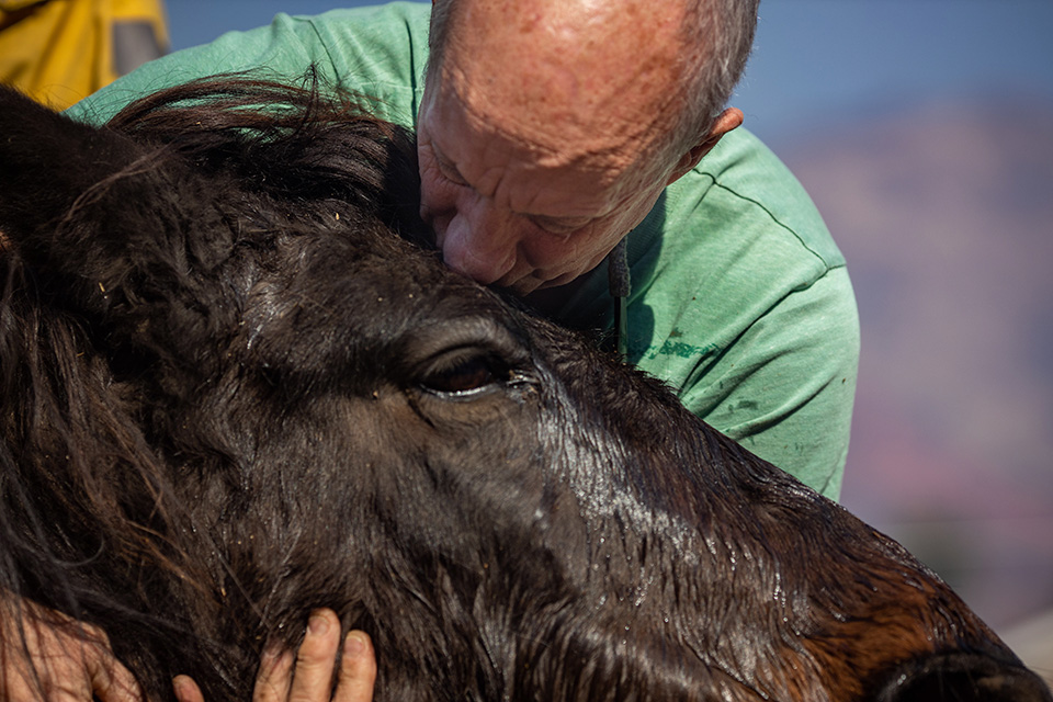 εγκαταλείποντας-561184951
