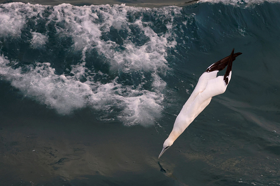 το-βέλος-561190072