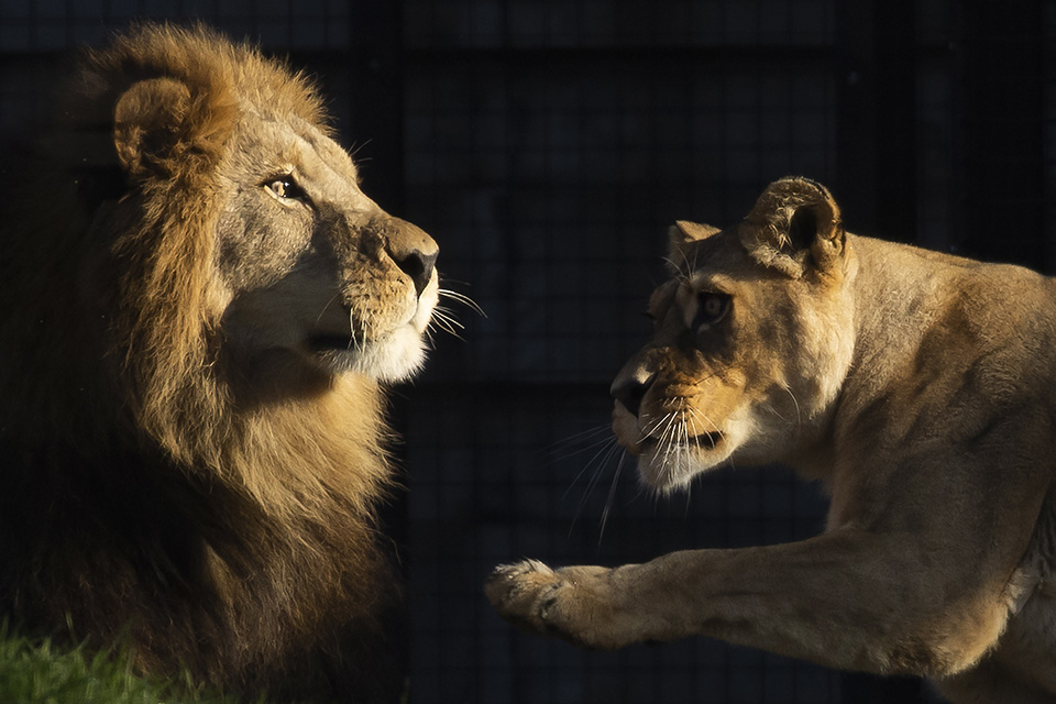 θα-είναι-έρωτας-561200566