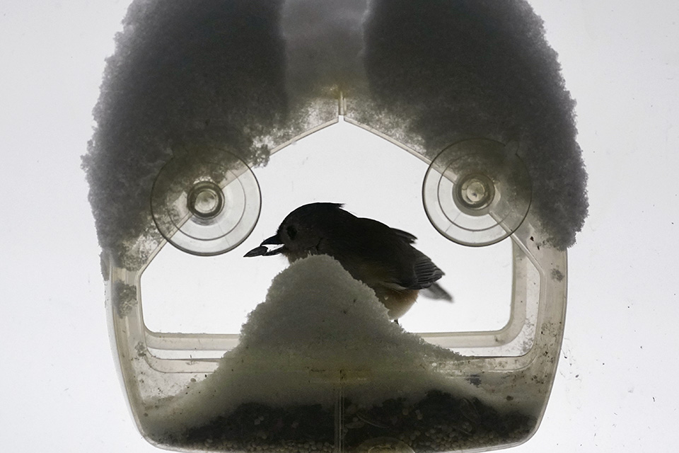 Για τα στολίδια του ουρανού