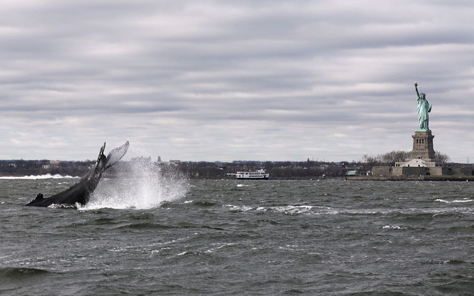Το 2020 μέσα από εικόνες που ξεχώρισαν