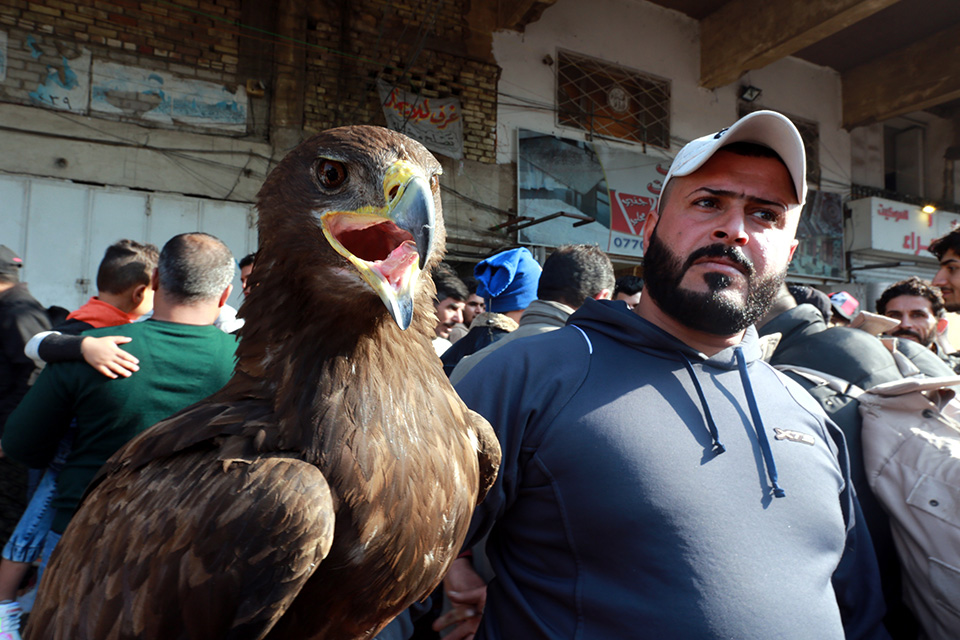 Σαν να ήταν δικά τους