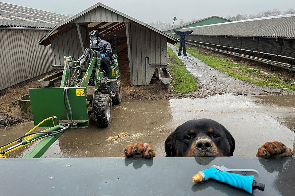 Οι απορίες του Tyson