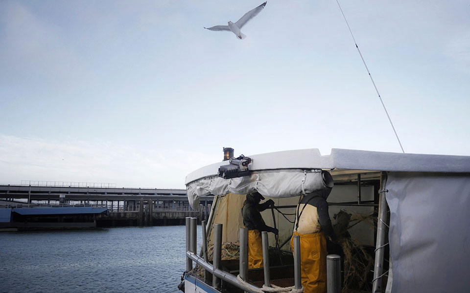 το-brexit-ανήκει-στα-ψάρια-του-561197449