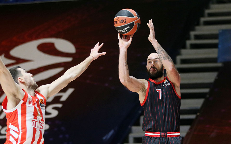 ερυθρόλευκος-αστέρας-561191365