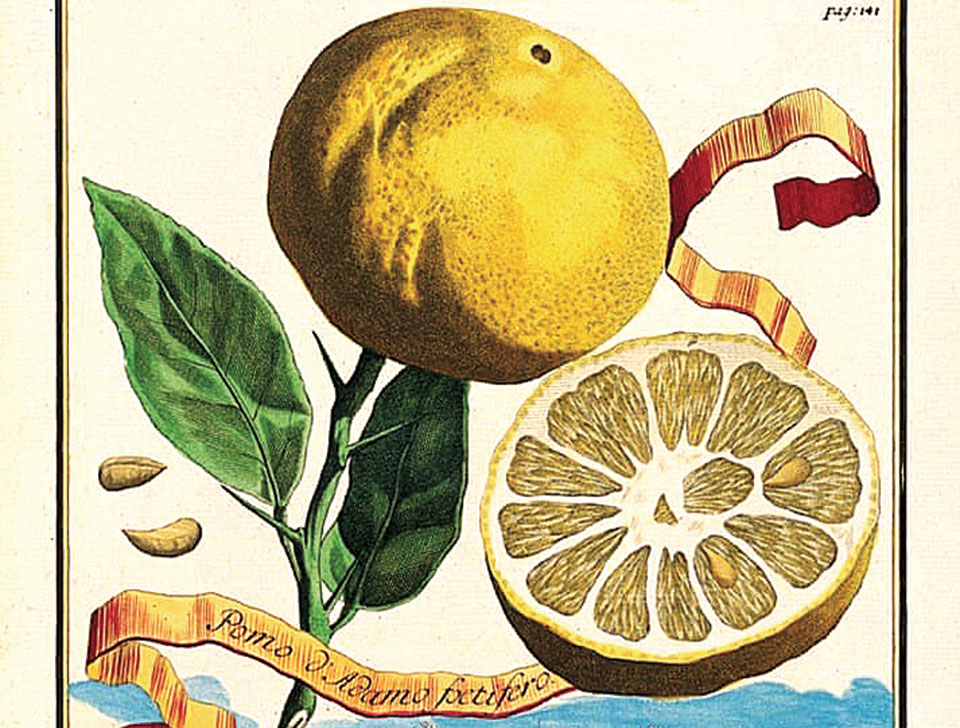 Ματιές στον κόσμο-3