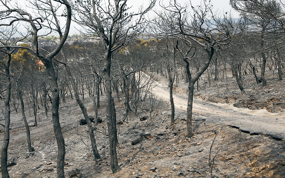 η-εκτός-σχεδίου-δόμηση-διχάζει-561179536