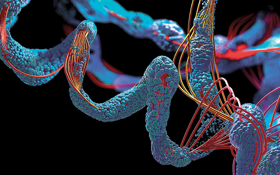 λύθηκε-ένα-μυστήριο-της-βιολογίας-561186289