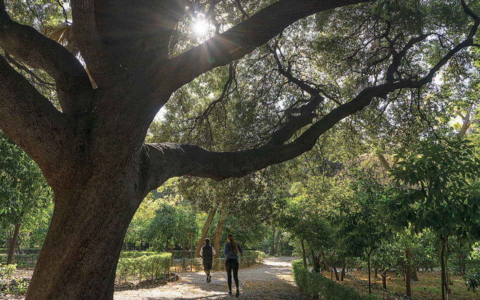 υδάτινο-ταξίδι-στο-κέντρο-της-αθήνα-561184171