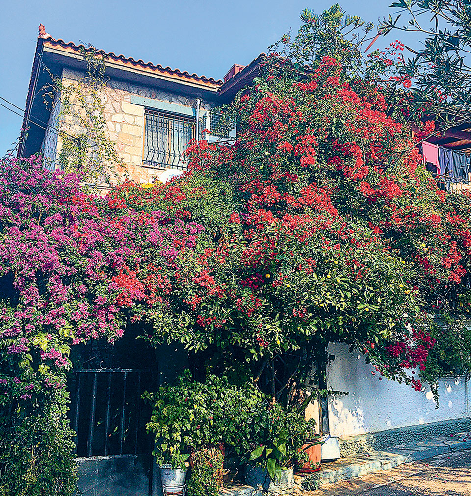 Άνω Πετράλωνα: Με την αύρα παλιάς αθηναϊκής γειτονιάς-4