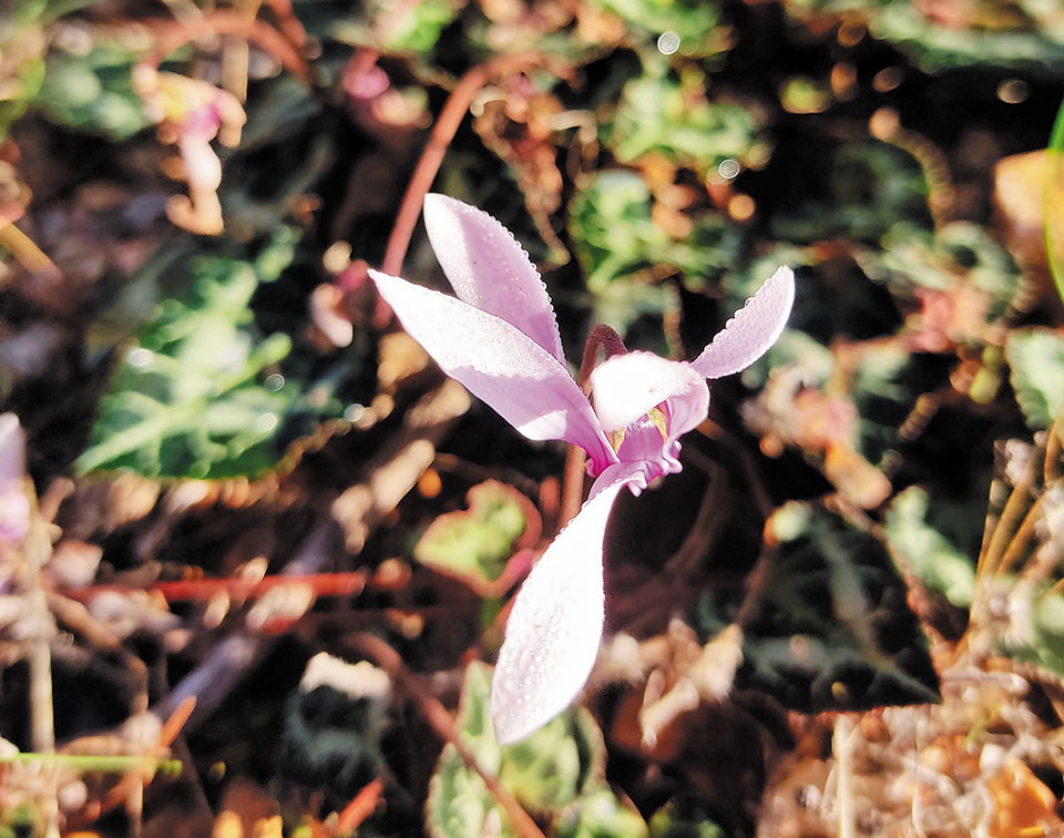 Εξερευνούμε το άγνωστο Ποικίλον Ορος-2
