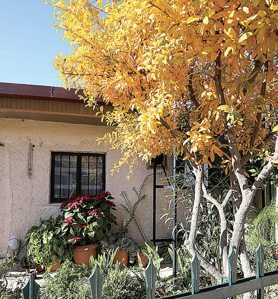 Δαφνί και Αφαία Σκαραμαγκά για αρχαρίους-4