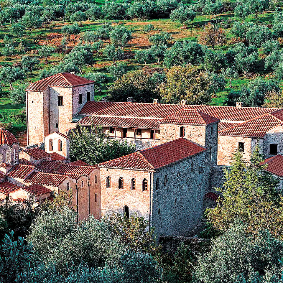 Μάζεμα ελιάς και… e-shop-1