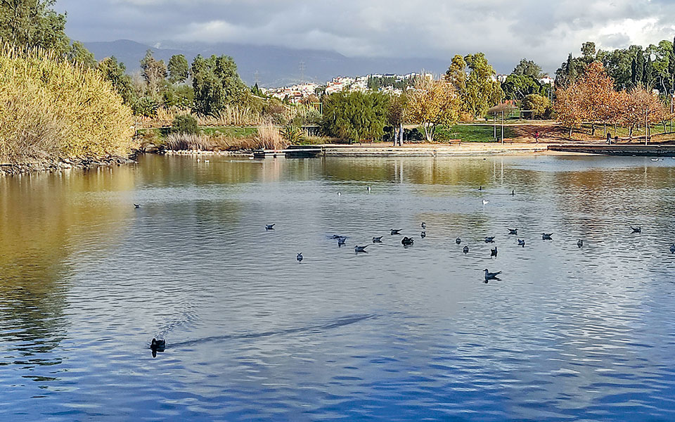 επίσκεψη-στο-σπίτι-της-αλκυόνης-561193354
