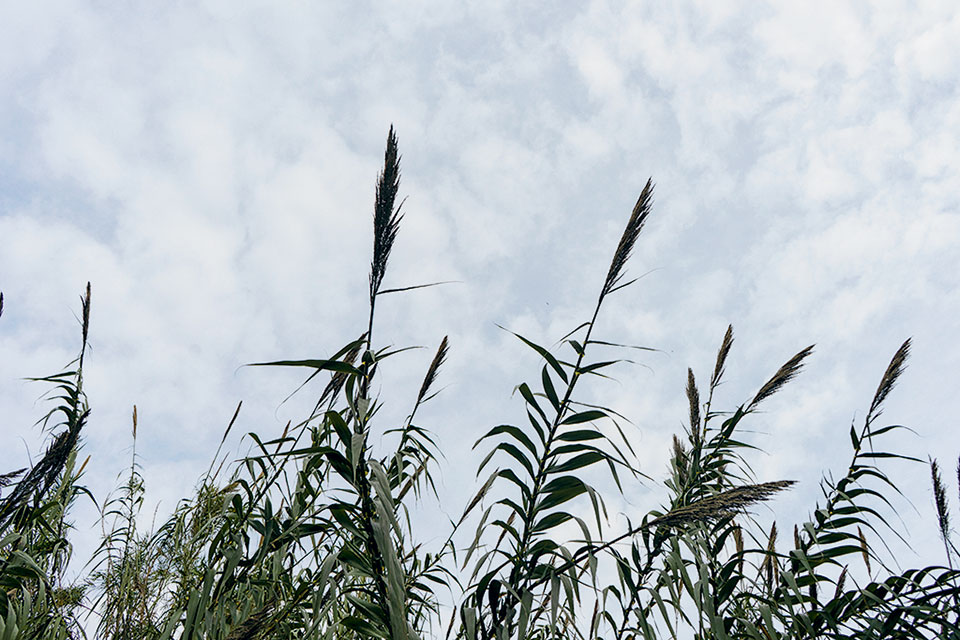Διάθεση για περιπέτεια ένα χειμωνιάτικο πρωινό-1