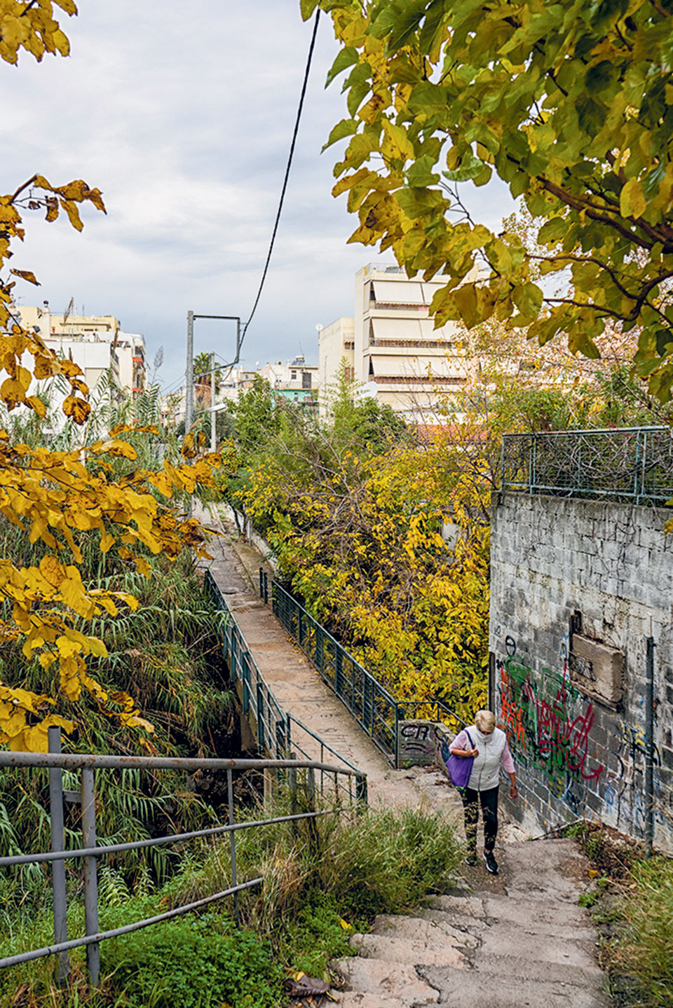 Διάθεση για περιπέτεια ένα χειμωνιάτικο πρωινό-3