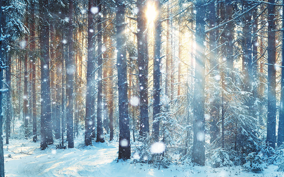 το-νεογέννητο-που-πέταξαν-από-το-τρένο-561201187