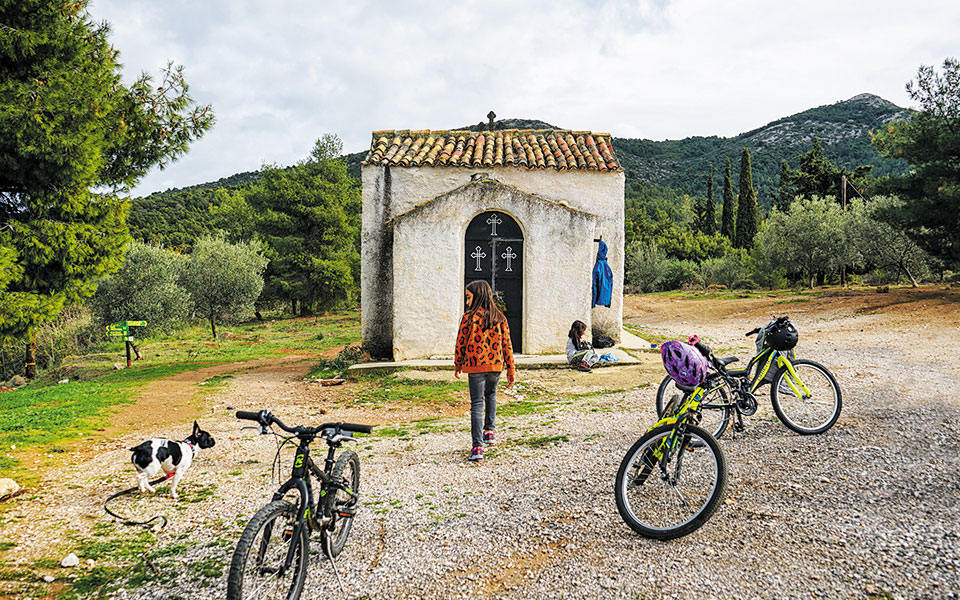 παπάγου-βαδίζοντας-στα-χνάρια-του-ιλι-561197584