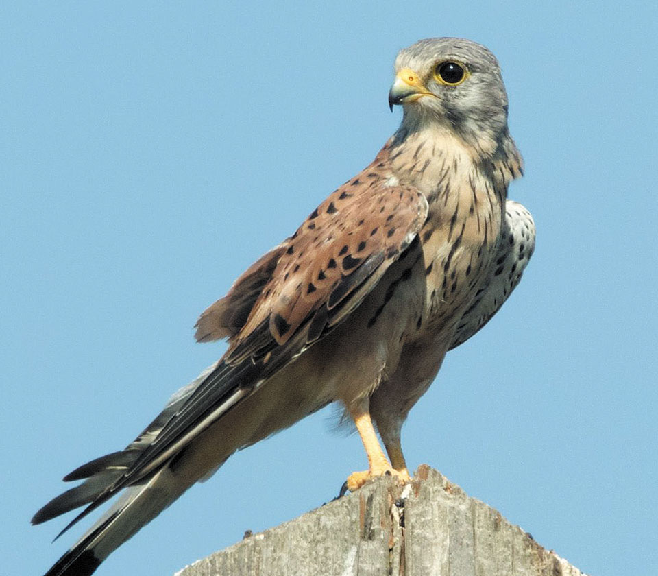 Εναλλασσόμενα τοπία φύσης και πολιτισμού-4