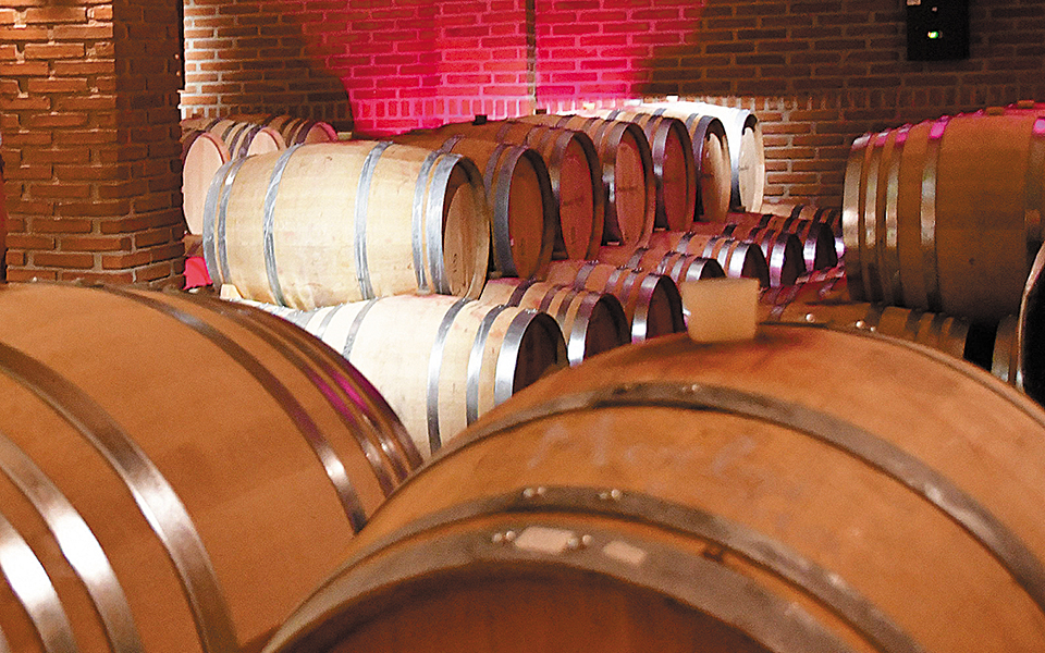 εθνικό-συμβούλιο-αμπέλου-και-οίνου-εθ-561202267