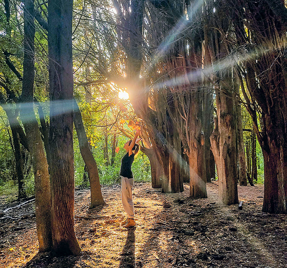 Περίπατος στα βασιλικά κτήματα Τατοΐου-1