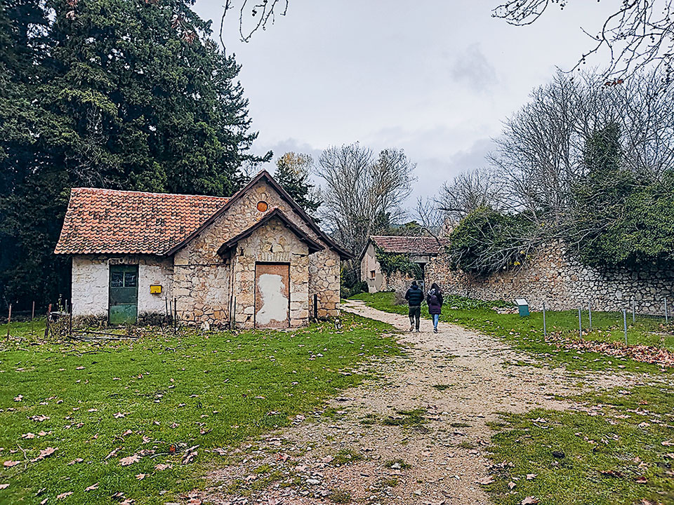 Περίπατος στα βασιλικά κτήματα Τατοΐου-3